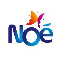 Noé