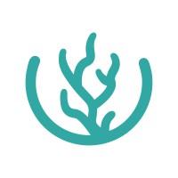 Mediterranean Algae