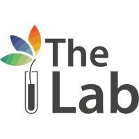 The Global Innovation Lab for Climate Finance