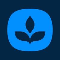 Albertsons Media Collective