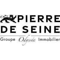 PIERRE DE SEINE
