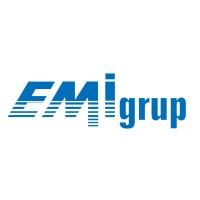 Emi Grup Information Technologies Inc.