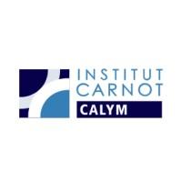Institut Carnot CALYM