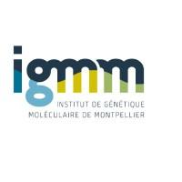 Institut de Génétique Moléculaire de Montpellier (IGMM)