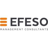 EFESO Management Consultants
