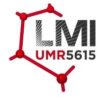 Laboratoire des Multimatériaux et Interfaces