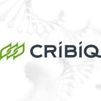 CRIBIQ Consortium de recherche et innovations en bioprocédés industriels au Québec