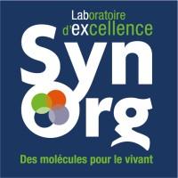 Labex SynOrg