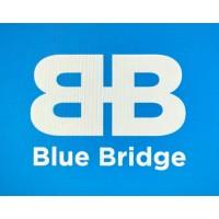 Blue Bridge Group AI