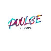 Puulse Groupe