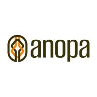 Anopa