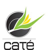 Experimental station CATE