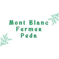 Mont Blanc Fermes péda