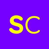 skilled companions