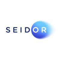 Seidor México