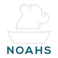 Noahs