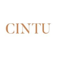 CINTU Corsica