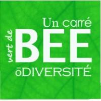 Un carré vert de BeeÔdiversité