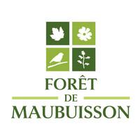 Forêt de Maubuisson