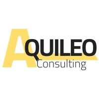 Aquileo Consulting