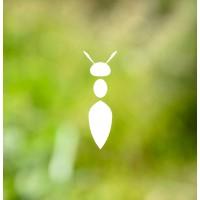 Atelier Nature et Territoires
