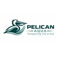 Pelican Aqua Holding Plc