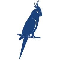 Calopsys 🦜