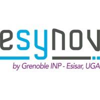 Esynov