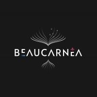Beaucarnea
