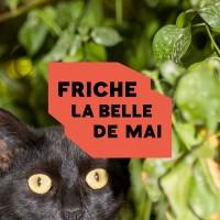 Friche la Belle de Mai