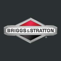Briggs & Stratton