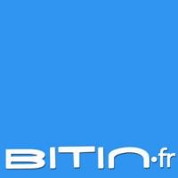 Bitin
