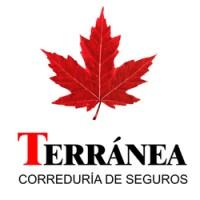 Terránea Seguros