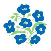 The Alzheimer Society of Ireland