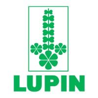 Lupin