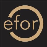 EFOR (formerly Soladis)