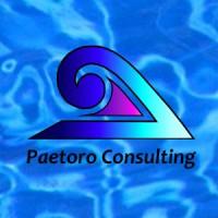 Paetoro Consulting UK Ltd