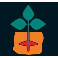 Cross Slot No-Tillage Systems