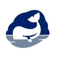 Whale