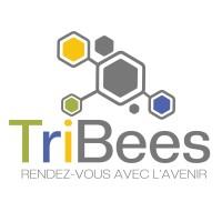 TriBees – L’accélérateur de compétences RSE