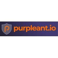 Purple Ant