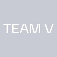 Team V Architectuur