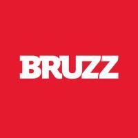 BRUZZ - Vlaams-Brusselse Media