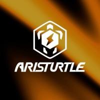 Aristotle University Racing Team Electric & Driverless (ARISTURTLE)