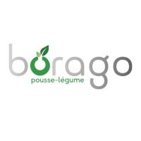 Borago Pousse-légume