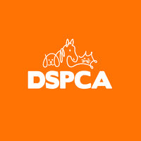 DSPCA