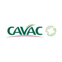 CAVAC
