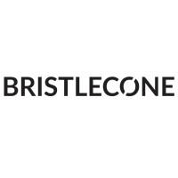 Bristlecone