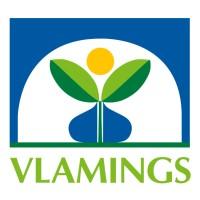 Vlamings BV