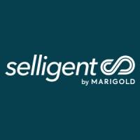 Selligent Marketing Cloud by Marigold